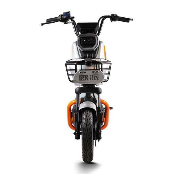 Electric Bike GB-66 800W 48V60V 20Ah 38kmh images02