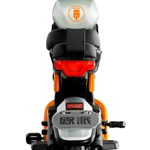 Electric Bike GB-66 800W 48V60V 20Ah 38kmh images03