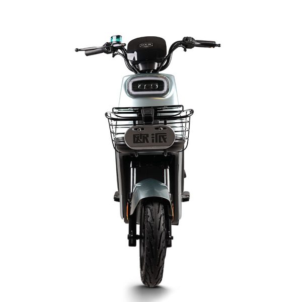 Electric Bike GB-67 800W 60V72V 32Ah 40kmh images04