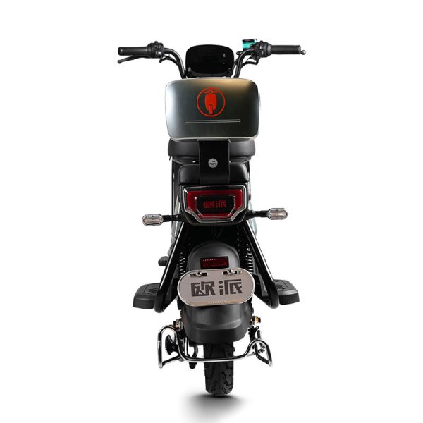 Electric Bike GB-67 800W 60V72V 32Ah 40kmh images05