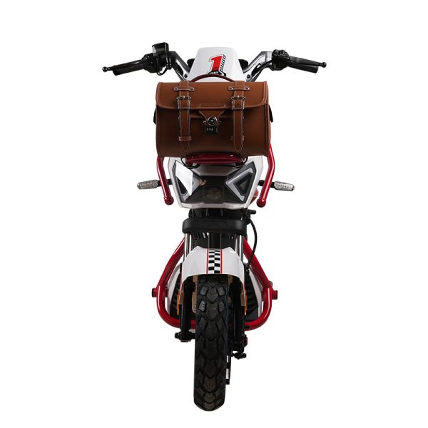 Electric Bike GB-68 800W 60V72V 20Ah 35kmh images03