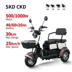 Electric Passenger Tricycle F1 Plus 500W1000W 48V60V 20Ah 25kmh images01