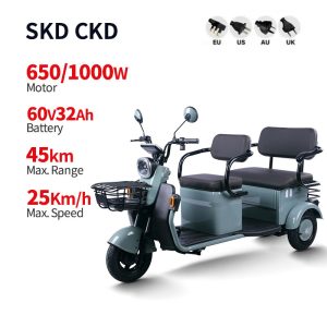 Electric Passenger Tricycle M9 650W1000W 60V 32Ah 25kmh images01