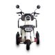 Electric Passenger Tricycle T3 500W 48V60V 20Ah 25kmh images03