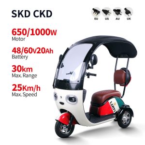 Electric Passenger Tricycle V1-1 650W1000W 48V60V 20Ah 25kmh images01