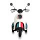 Electric Passenger Tricycle V5 500W 48V60V 20Ah 25kmh images03