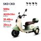 Electric Passenger Tricycle V6 500W 48V60V 20Ah 25kmh images01