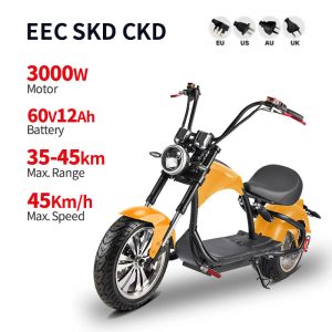 Harley Electric Motorcycle CP4 3000W 60V 12Ah 45kmh (EEC) images01