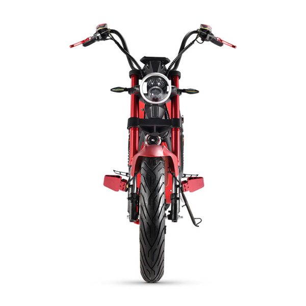 Harley Electric Motorcycle CP6 2000W 60V 12Ah 45kmh (EEC) images05