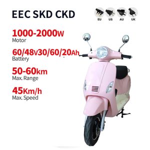 Electric Moped LMYG 1000W-2000W 60V30Ah48V60Ah60V20Ah 45kmh (EEC) images01