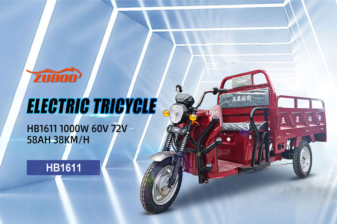 Exploring the Advantages of Long-Range Electric Tricycles - Cyclemix